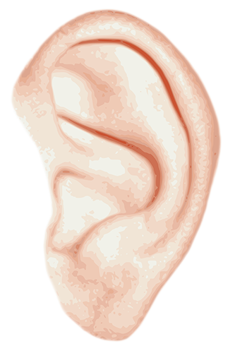 Hörschäden